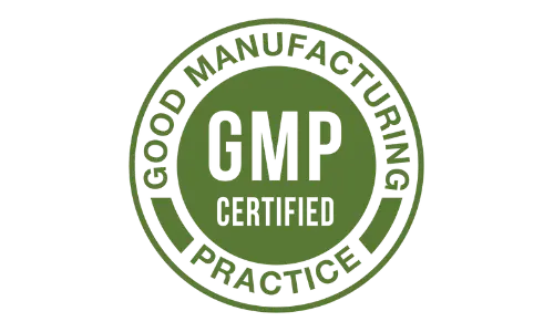Memomatrix Cognitive Boost GMP Certified